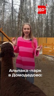 В Домодедове открылся Альпака-парк для всей семьи