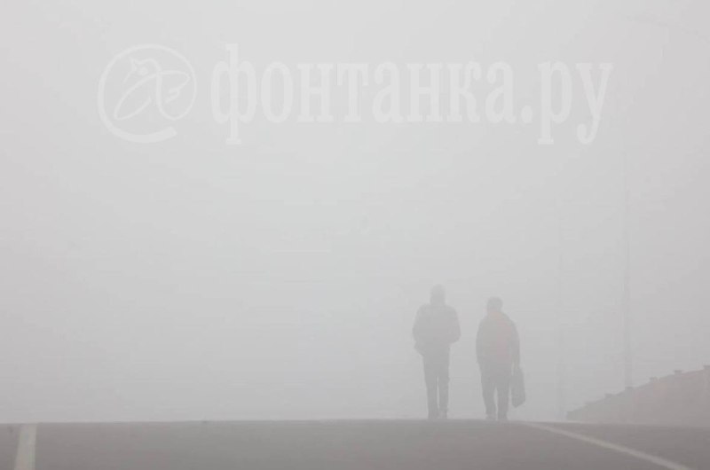 Туман задержится в Петербурге до утра: МЧС предупреждает о плохой видимости