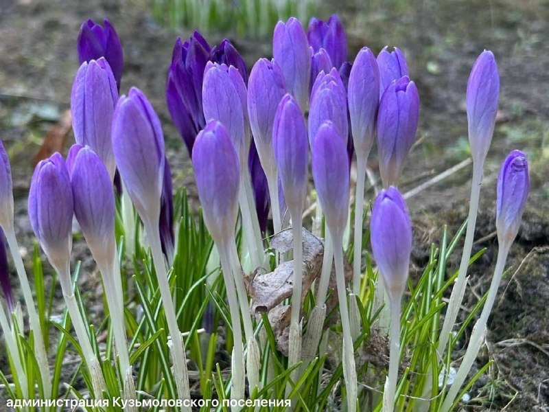 Иллюстрация 2