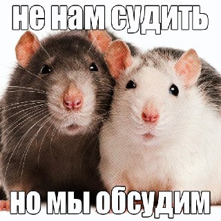 Отмечается Всемирный день крысы