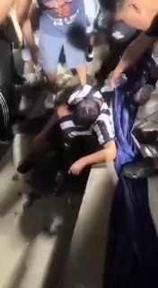 Иллюстрация 2