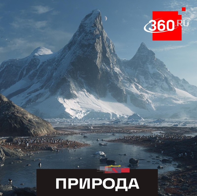 Российские ученые обнаружили в Антарктиде оазис с озерами и пингвинами
