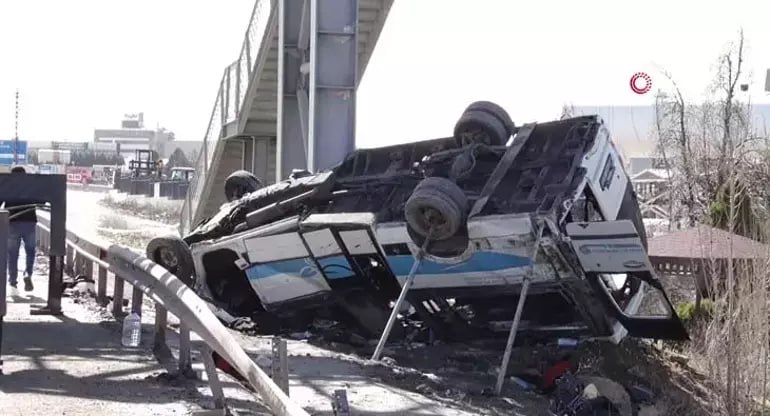 Иллюстрация 1