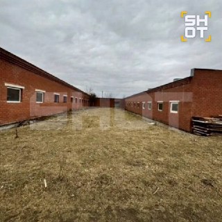 Иллюстрация 3