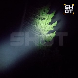 Иллюстрация 6