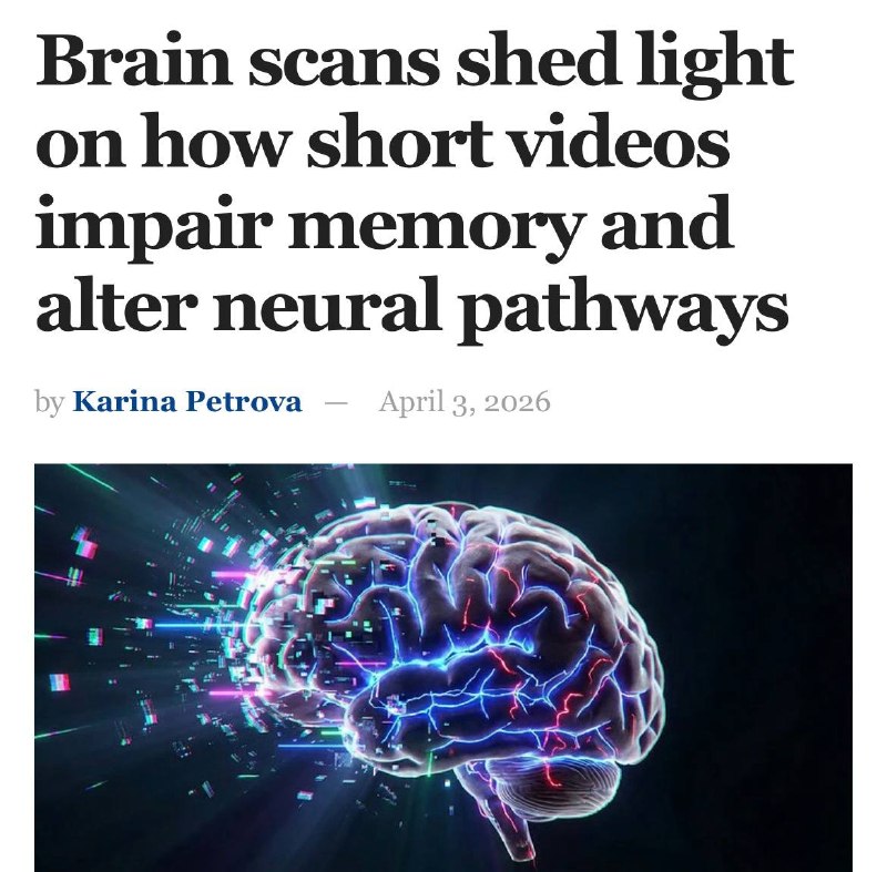 Короткие видео могут ухудшать память — результаты исследований МРТ
