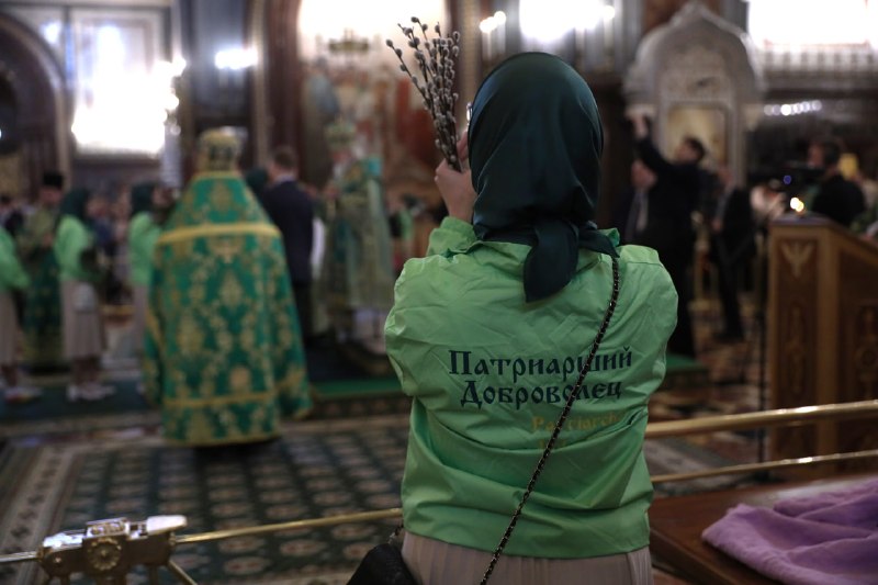 Иллюстрация 5