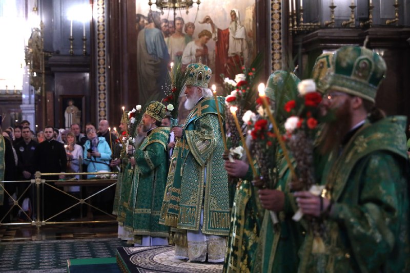 Иллюстрация 6