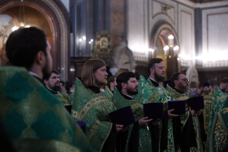 Иллюстрация 7