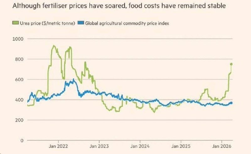 Мировая экономика: конфликт на Ближнем Востоке приведет к росту цен на продукты из-за перераспределения посевов
