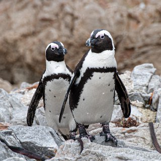 Иллюстрация 5