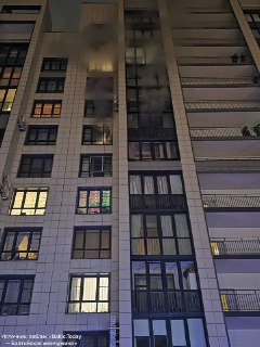 Иллюстрация 1