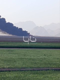 США бомбят районы Ирана в поисках пилота сбитого F-15