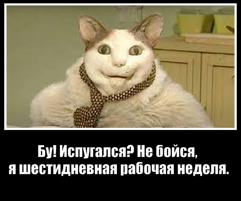 В РФ нет необходимости в шестидневной рабочей неделе — глава РСПП