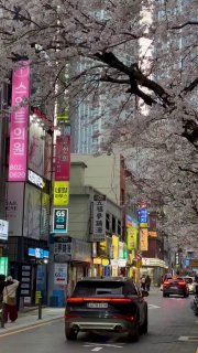 Прямые рейсы до Южной Кореи могут запустить в России