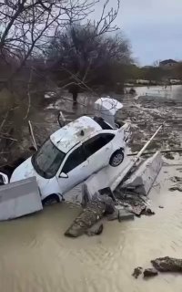 Иллюстрация 5