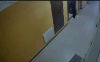 Цыганский табор из 26 человек заселился в однушку в Мытищах