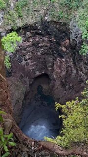 В Мексике нашли торнадо из летучих мышей