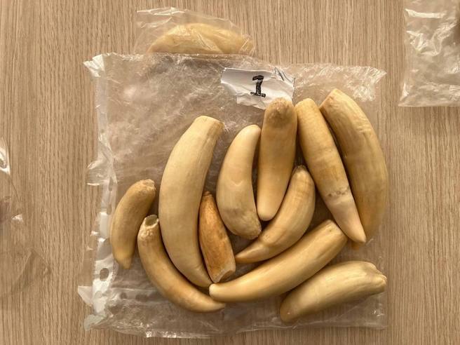 Иллюстрация 2