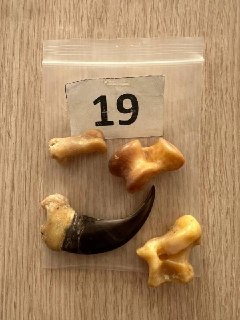 Иллюстрация 3