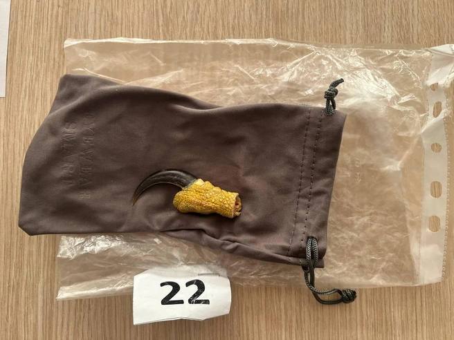 Иллюстрация 4