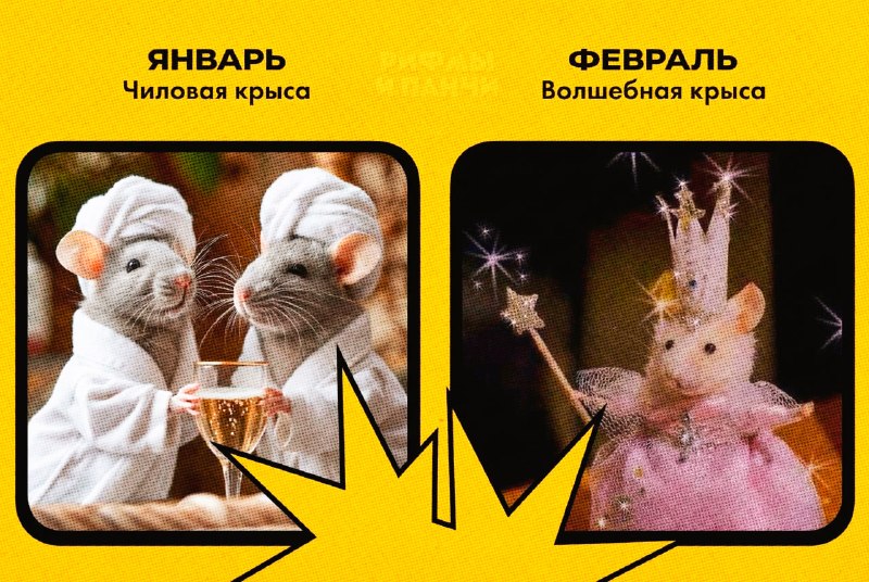 Интернет-астрологи выкатили расклад по месяцу рождения