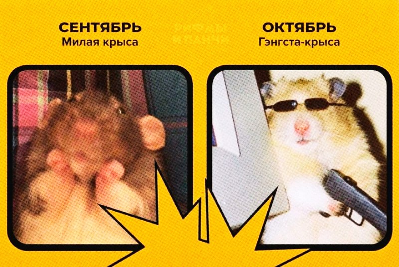 Иллюстрация 2