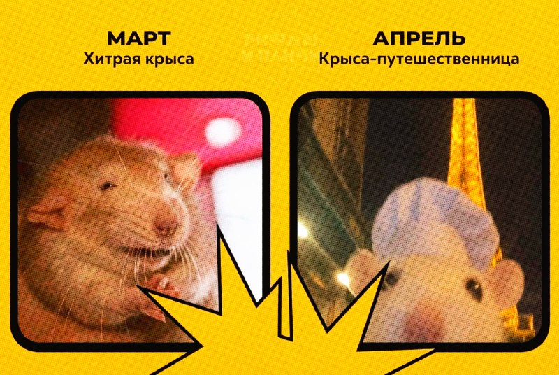 Иллюстрация 3