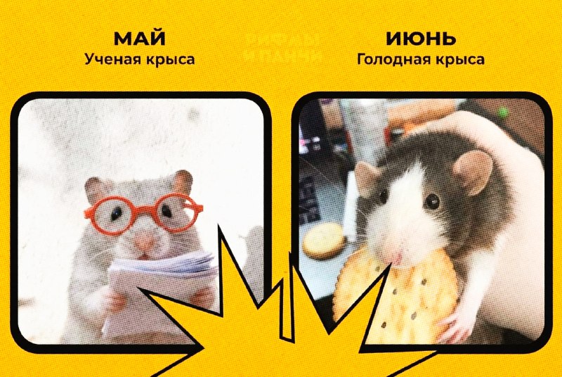 Иллюстрация 4