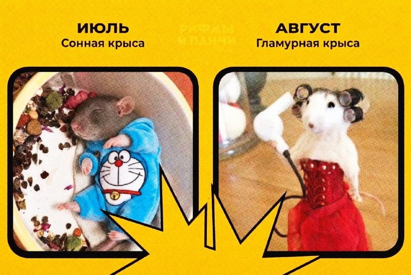 Иллюстрация 5