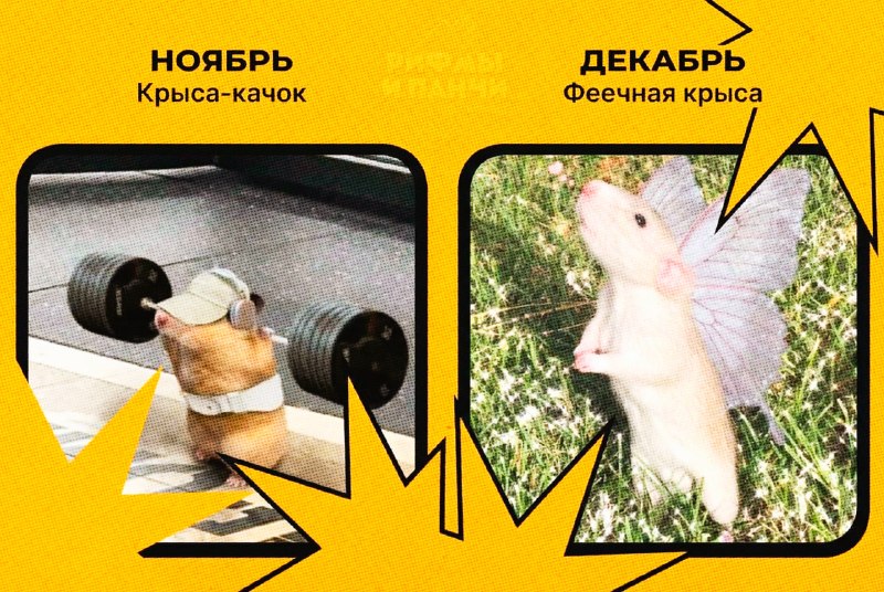 Иллюстрация 6