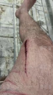 Иллюстрация 2