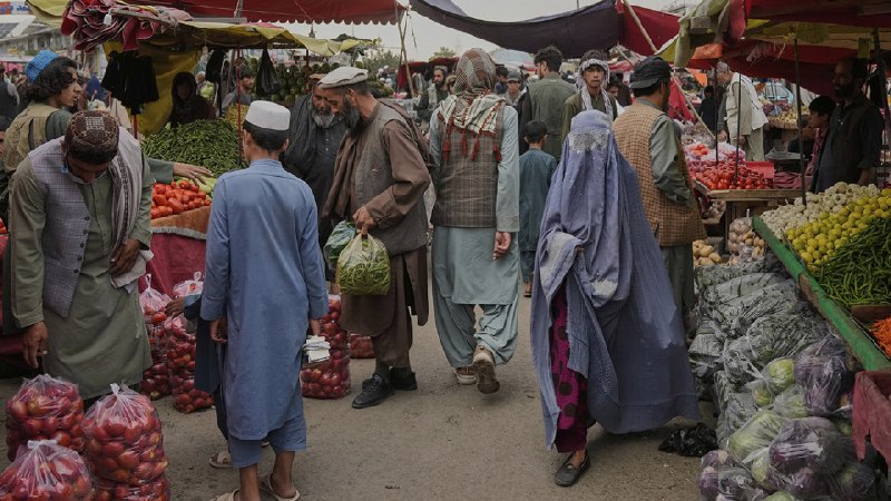 Пакистан рассчитывает зарабатывать $1 млрд на туристах из России