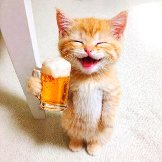 День лёгкого пива и Международный день здоровья