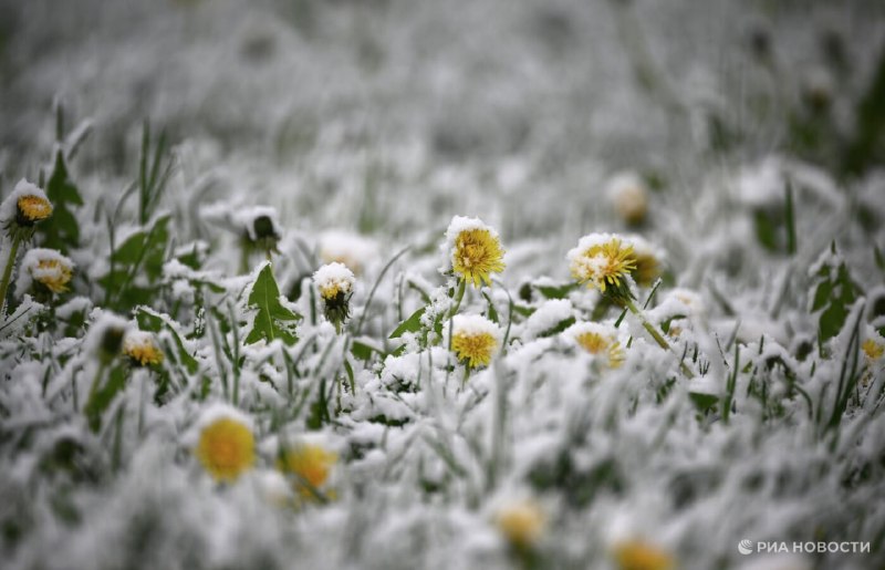 В Москве ожидаются снегопады до 8 см