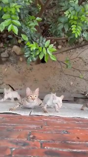 Иллюстрация 2