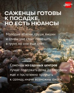 Агроном объяснил, почему заморозки в Подмосковье не навредят урожаю