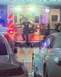 Иллюстрация 1