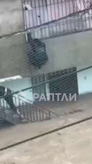 Иллюстрация 1