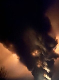 Иллюстрация 1