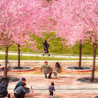 Иллюстрация 9