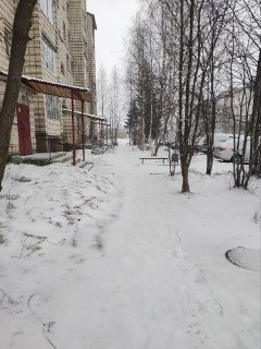 Иллюстрация 7