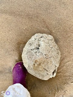 Иллюстрация 3