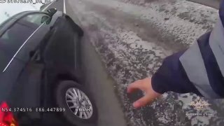 Иллюстрация 1