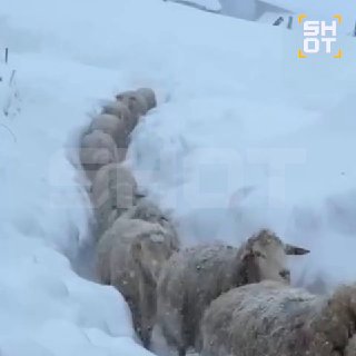 Иллюстрация 3