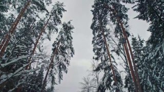 Российский электрокар UMO 5 прошел тест в -20°C и проехал 282 км