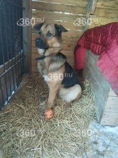 Иллюстрация 2