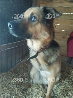 Иллюстрация 3