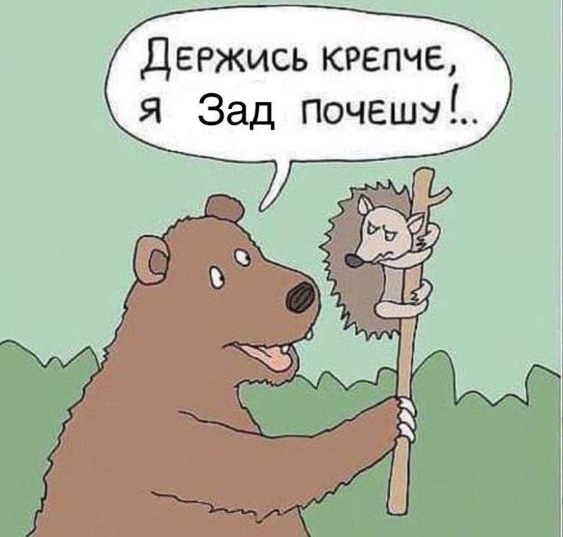 В парламенте Литвы призвали сделать страну «неудобным ежом» для России