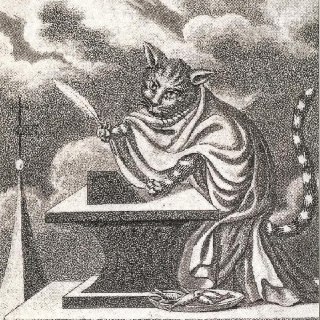 Вольный Котан: новая сказка о свободе и литературе от Жени Беркович